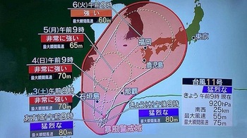 taifun-no.jpg